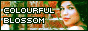 CB-button03.gif