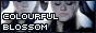 CB-button04.gif